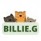 BLL-GLW